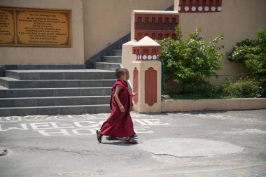 Nepal, Mayıs 2017: Küçük Budist keşişler
