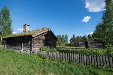 Tyinstolen, Norveç'te çimenli geleneksel Norveç evleri 