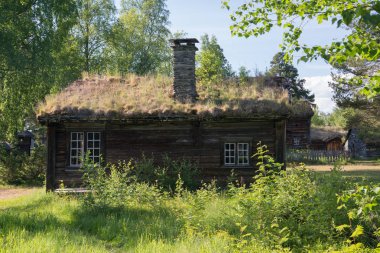 Tyinstolen, Norveç'te çimenli geleneksel Norveç evleri 