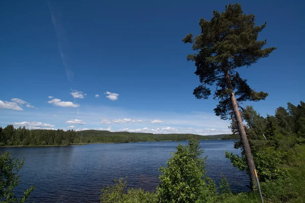 Hermosa Vista Del Paisaje Noruega Naturaleza Fredriksten Festning —  Fotos de Stock