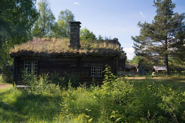 Maisons Traditionnelles Nordiques Avec Herbe Tyinstolen Norvège — Photo