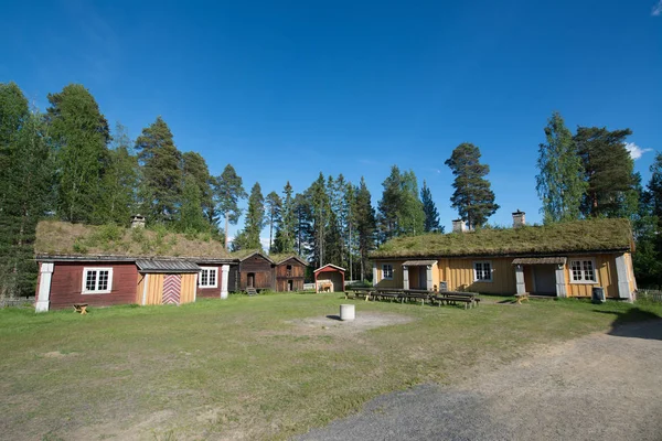 Traditionella Norska Hus Med Gräs Tyinstolen Norge — Stockfoto