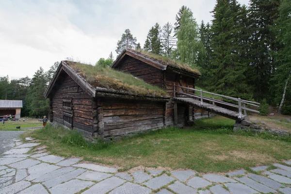 Rumah Tradisional Norwegian Dengan Rumput Tyinstolen Norwegia — Stok Foto