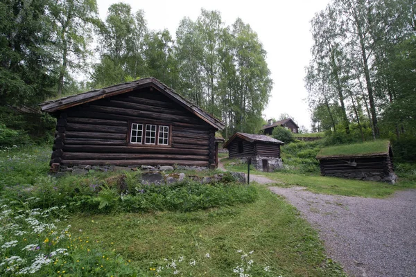 Maisons Traditionnelles Nordiques Avec Herbe Tyinstolen Norvège — Photo