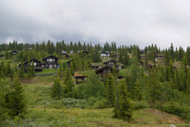 Tyinstolen, Norveç'te çimenli geleneksel Norveç evleri 