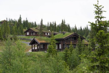 Tyinstolen, Norveç'te çimenli geleneksel Norveç evleri 