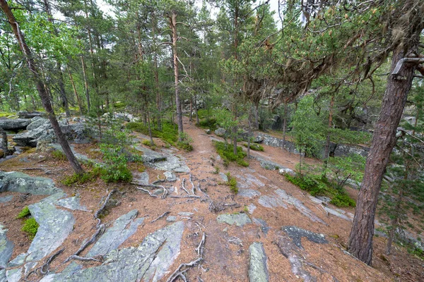 Jutulhogget Norway Jutulhogget Canyon Municipalities Alvdal Rendalen Hedmark Created Rupture — 스톡 사진
