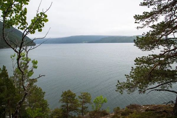 Blick Auf Fiskevollen Hedmark Fylke Norwegen — Stockfoto