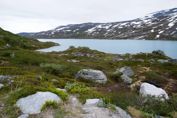 Wunderschöne Landschaft Norwegen Strynefjellet Entlang Der Norwegischen Kreisstraße — Stockfoto