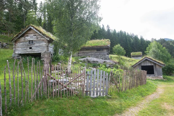 Traditionele Noorse Huizen Met Gras Tyinstolen Noorwegen — Stockfoto