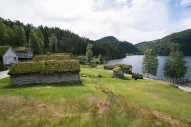 Tyinstolen, Norveç'te çimenli geleneksel Norveç evleri 