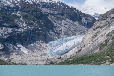 Manzaraya Nigardsbreen buzul Jostedalsbreen Milli Parkı, Norveç