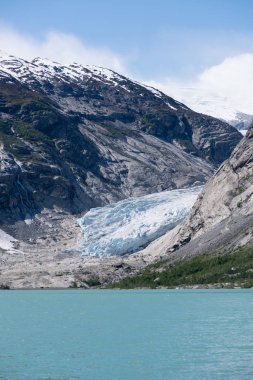 Manzaraya Nigardsbreen buzul Jostedalsbreen Milli Parkı, Norveç