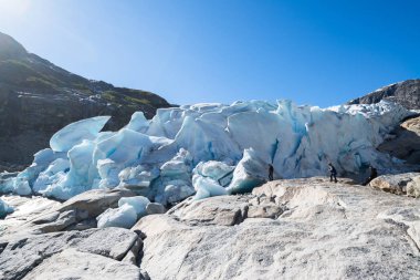 Manzaraya Nigardsbreen buzul Jostedalsbreen Milli Parkı, Norveç