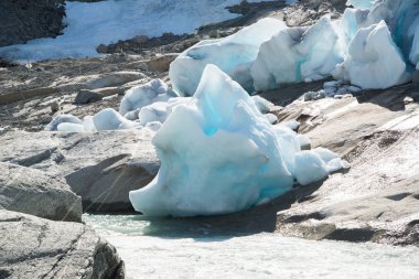 Manzaraya Nigardsbreen buzul Jostedalsbreen Milli Parkı, Norveç