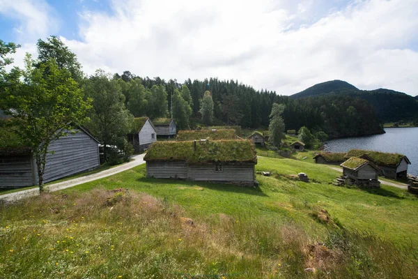 Традиційні Норвезькі Будинки Травою Тиінсоені Норвегія — стокове фото
