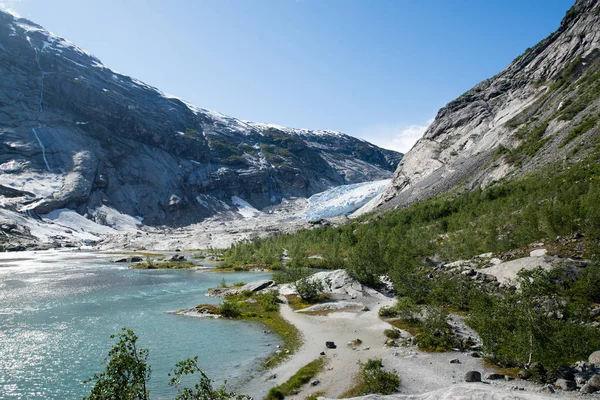 Manzaraya Nigardsbreen Buzul Jostedalsbreen Milli Parkı Norveç — Stok fotoğraf