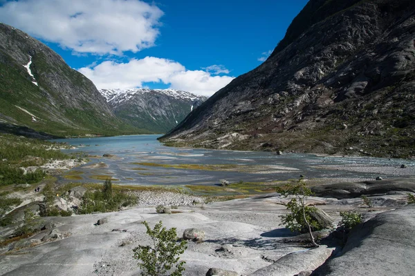 Manzaraya Nigardsbreen Buzul Jostedalsbreen Milli Parkı Norveç — Stok fotoğraf