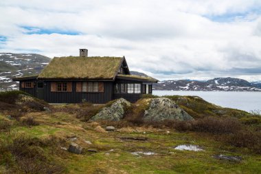 Tyinstolen, Norveç'te çimenli geleneksel Norveç evleri 