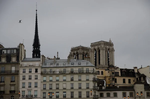 Paris Circa Januari 2014 Paris Seine River — Stockfoto