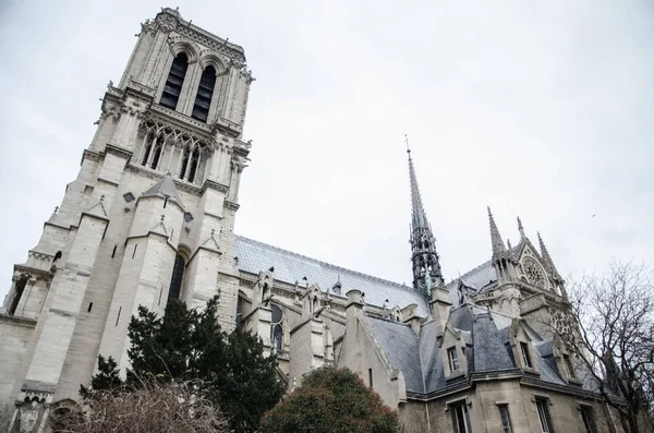 Párizs Január 2014 Notre Dame Paris Cathedral Amely Tűzték Április — Stock Fotó