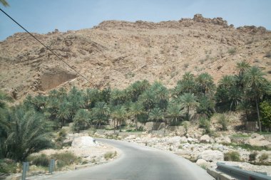palmiye ağaçları ile Umman çöl arazisi güzel görünümü