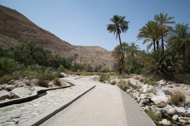 Wadi Bani Khalid, Umman yolunda