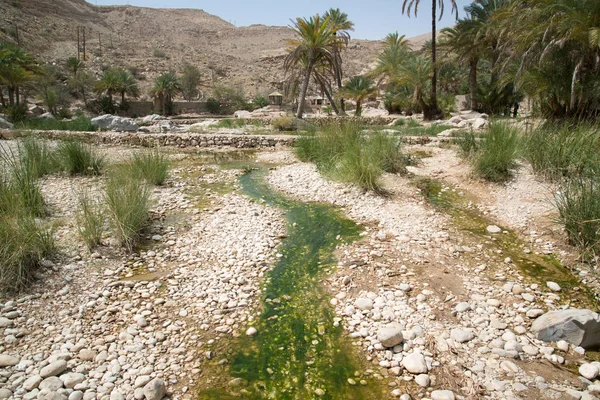 Útközben Wadi Bani Khalid Omán — Stock Fotó