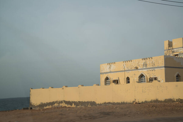 прекрасный вид на пустынный край Омана с пальмами
