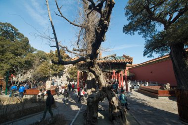 Pekin, Çin - Circa Şubat 2016: Pekin'de Yasak Şehir. Yasak Şehir Çin'de kraliyet sarayı, Bu dünyanın kültürel mirasıdır. 