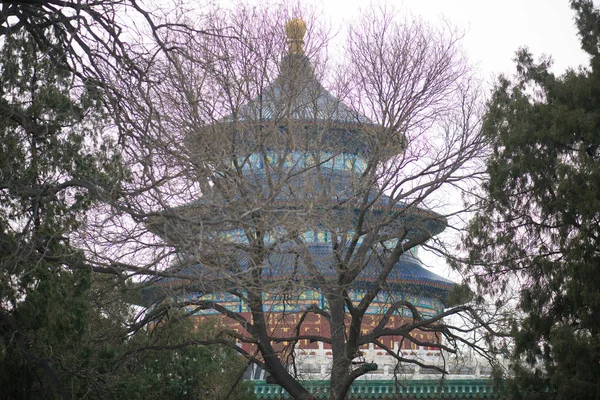 View Temple Heaven Beijing China — Stock Photo, Image