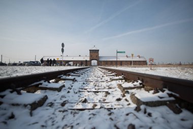 Oswiecim, Polonya-27 Ocak 2014-Auschwitz Birkenau, Brzezinka 'da eski bir Nazi imha kampı, Oswiecim yakınlarındaki Polonya