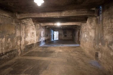 Oswiecim, Polonya-27 Ocak 2014-toplama kampı Auschwitz II 27 Ocak 2014 Oswiecim 'de eski bir Nazi imha kampı. Auschwitz II Avrupa 'nın en büyük Nazi toplama kampı oldu.