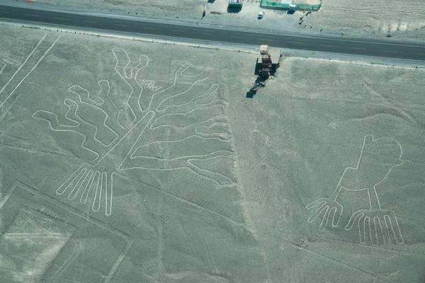 Nasca Hatlarının havadan görünümü. Nazca, Peru