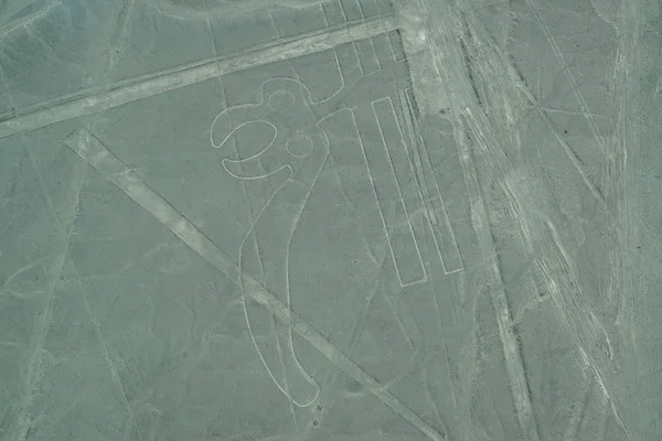 Vista Aérea Nasca Lines Loro Nazca Perú —  Fotos de Stock