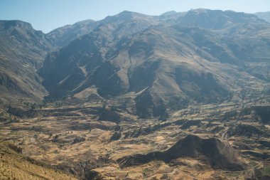 Colca Canyon (Canon Del Colca), Peru, Güney Amerika