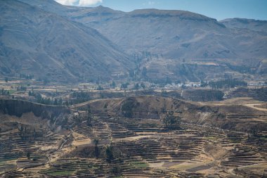 Colca Canyon (Canon Del Colca), Peru, Güney Amerika