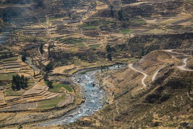 Colca Canyon (Canon Del Colca), Peru, Güney Amerika