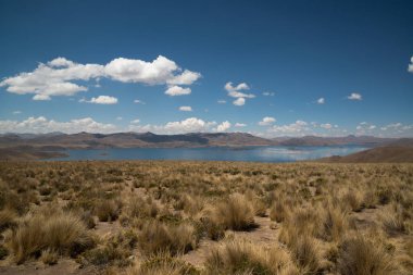 Puno, Peru 'da Lagunillas, Andes deniz seviyesinden 4413 metre yükseklikte 