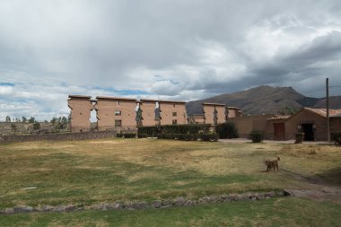 Cusco, Peru yakınlarındaki Raqch'i, Raqchi veya Wiracocha Tapınağı harabeleri. Güney Amerika