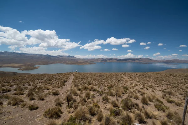 Puno Peru Lagunillas Andes Deniz Seviyesinden 4413 Metre Yükseklikte — Stok fotoğraf