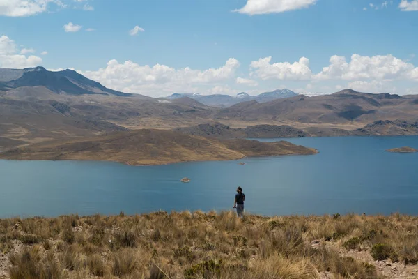 Puno Peru Lagunillas Yakınında Gezgin Ayakta Andes Deniz Seviyesinden 4413 — Stok fotoğraf