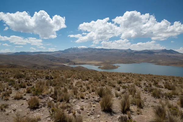 Puno Peru Lagunillas Andes Deniz Seviyesinden 4413 Metre Yükseklikte — Stok fotoğraf