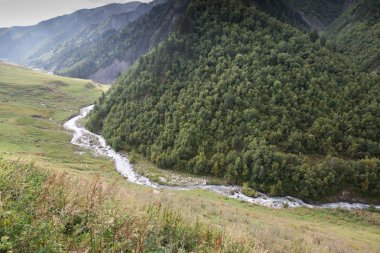 Adishi köyü yakınlarındaki Adishchala nehri manzarası, Svaneti, Gürcistan