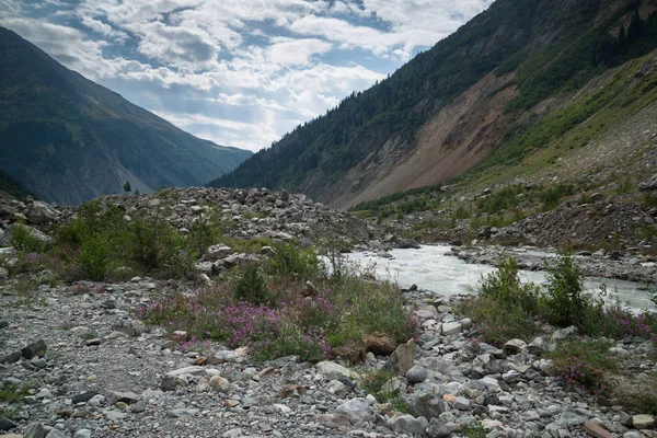 Mestia görkemli doğa, Chalaadi buzul ile Gürcistan 