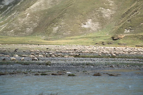 Gürcistan Shkhara Buzulushguli Trekking Yolu — Stok fotoğraf