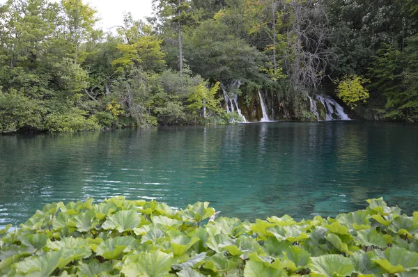 Plitvicei Tavak Vízesések Nemzeti Park Horvátország — Stock Fotó