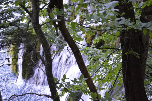 Parque Nacional Lagos Cascadas Plitvice Croacia — Foto de Stock