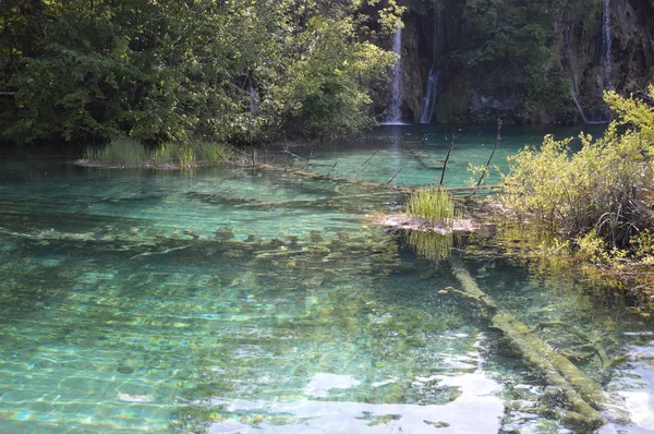 普利特维茨湖和瀑布国家公园 克罗地亚 — 图库照片