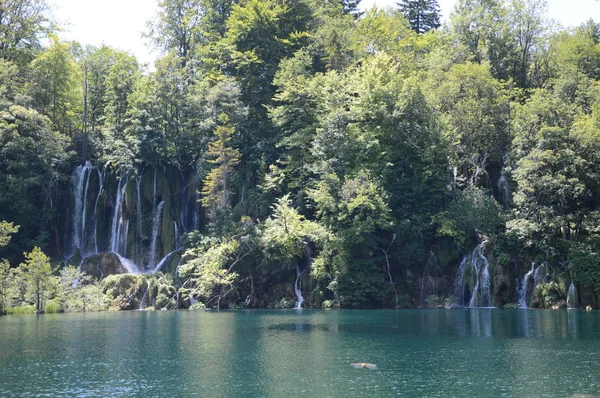 Plitvicei Tavak Vízesések Nemzeti Park Horvátország — Stock Fotó